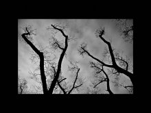 Look up / ***