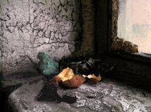 Front of the window / ***