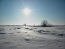 Winter / ***