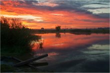 Scarlet dawn / ***