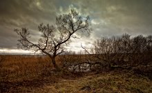 wilderness / neprivetlivaja pora