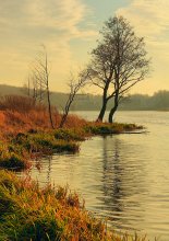 Evening on the Lake / ***