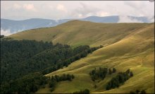 Carpathian slopes / ***