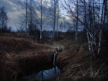 COLD APRIL / ***
