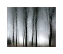 Tango in the rain / -------