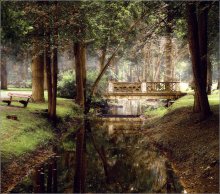 Old Bridge / ***