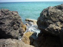 Sea / ***