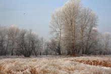 Winterschlaf / ***