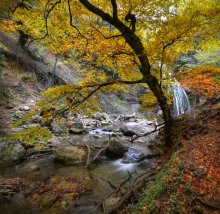 Autumn / ***