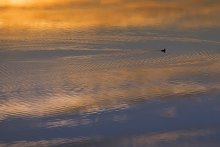 Solo Voyage / *****