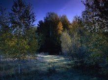 Morning frost ... / ***