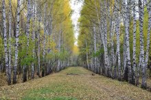 Erinnerung an den Herbst / ***