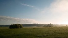 Spring Morning / ____________________*