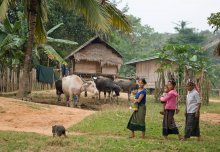 In the Laotian village of number 6 / ***