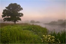 In mid-summer / ***