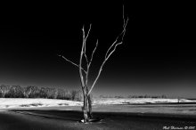 Pas - de - de. Code. / 18.12.11