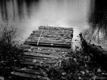 photo / ***