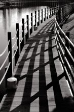 Bild / ***
