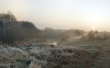 The October freeze / ***