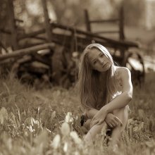 zakostrome / ***