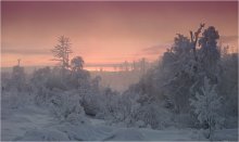 Winter Evening / ***
