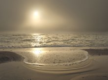 Gold of Winter Nebel / ***