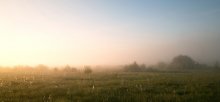 Almost summer morning / _______________________*