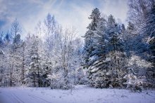 Just Winter / ****