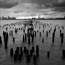 Old piles / .....