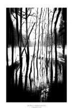 ‎[ Melt Water ] / ***
