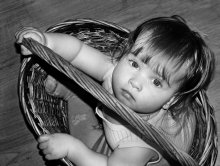 Polly / ***