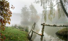 on the Pond / ......