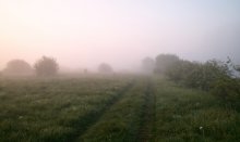 Out of the mist - 3 / _____________________*