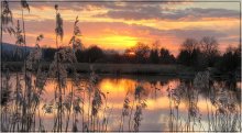 Morgen / ......