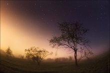 03:41 / ***