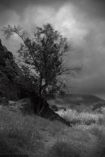 loneliness / ***