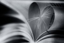 Our life ... ... if redaya book ... / ***
