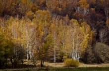Autumn / ...