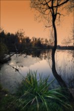Evening / .................