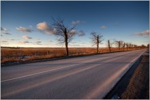 The road to "paradise" / ***