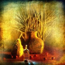 Solletico / still life