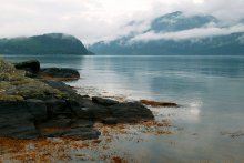 Norway / ***