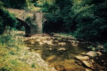 _bridge_ / rupit