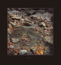 The pebbles ... / *******
