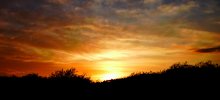 Abend / ***