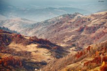 Carpathian November / ***