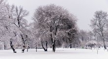 Snowy landscape / ***