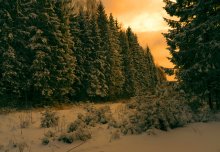 Die Sonne, die Taiga ... / ***
