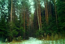 Winter on the approaches / ***