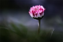 color of the night... / .....